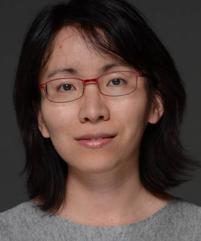 Yulan He headshot